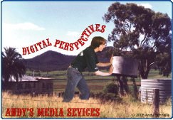 Digital Perspectives